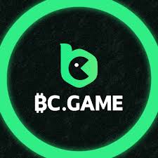 Exploring the Thrills of BC Game Play